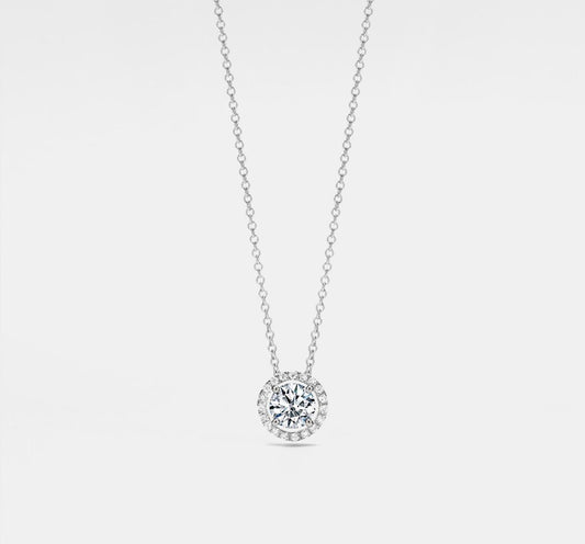 Round Cut Moissanite Halo Necklace in Silver